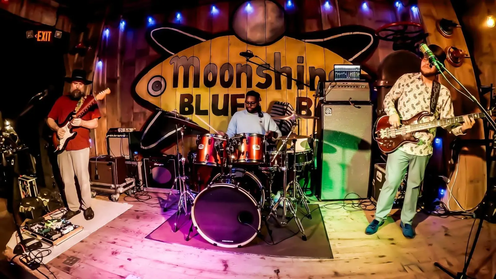 The Brad Alan Band photo 1