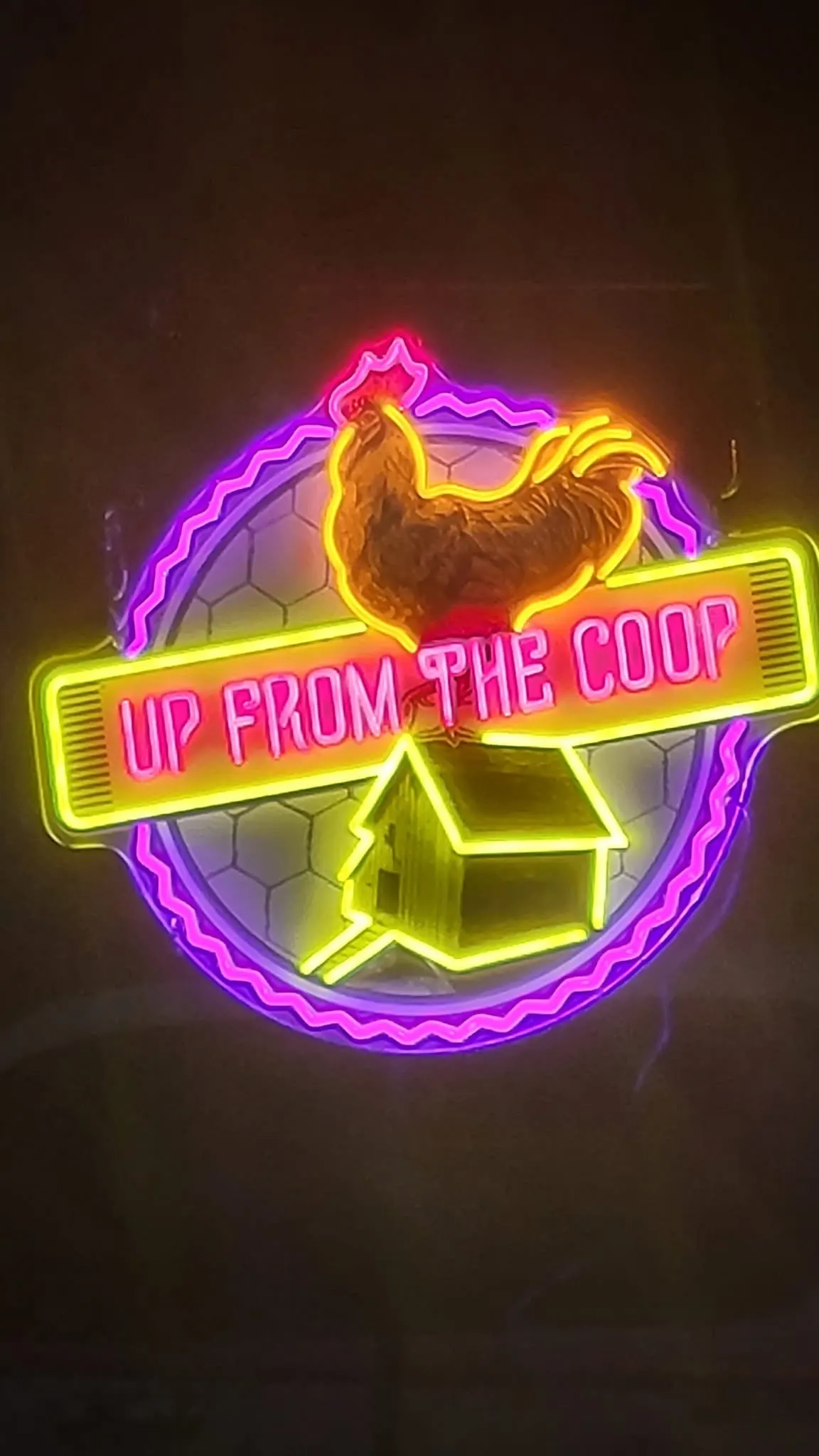 Up From The Coop photo 5