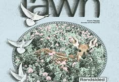 FAWN (tx), RANSIDED, BUCK, WILL KNAUER + JOE MISTEROVICH