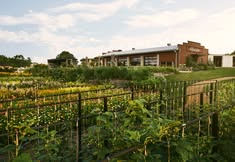 Beer Garden Nights at Finley Farms