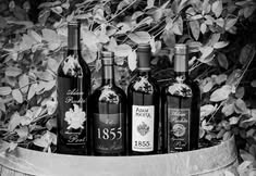 170 Years of Puchta