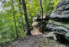 Hike with A Naturalist