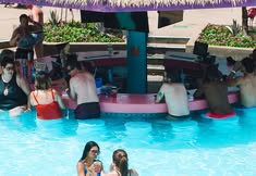 Flamingo Beach Club Nights
