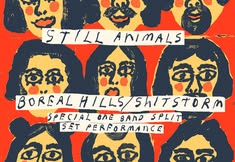 Laundry Bats w/ Still Animals, Boreal Hills / Shitstorm