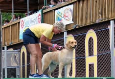 DockDogs® at Dog Days Canine Cannonball
