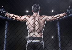 FAC MMA 36