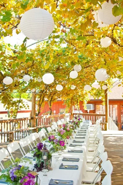 Villa Antonio Winery