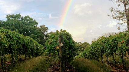 Adam Puchta Winery